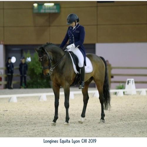 Surval News: Surval Equestriennes compete at Lyon International Horse Show